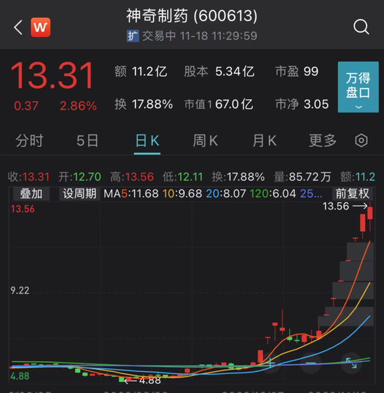 神奇制药股票最新动态深度解析